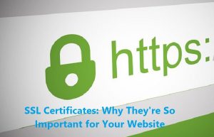 SSL Certificates: Why They’re So Important for Your Website